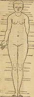 Picture 161 of 197 from Hierinn sind begriffen vier Bucher von menschlicher Proportion durch Albrechten Durer von Nurerberg [sic.] erfunden und beschuben zu nutz allen denen so zu diser kunst lieb tragen (1528), leaf 190