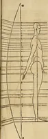 Picture 163 of 197 from Hierinn sind begriffen vier Bucher von menschlicher Proportion durch Albrechten Durer von Nurerberg [sic.] erfunden und beschuben zu nutz allen denen so zu diser kunst lieb tragen (1528), leaf 196