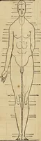 Picture 164 of 197 from Hierinn sind begriffen vier Bucher von menschlicher Proportion durch Albrechten Durer von Nurerberg [sic.] erfunden und beschuben zu nutz allen denen so zu diser kunst lieb tragen (1528), leaf 196