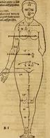An illustration from Hierinn sind begriffen vier Bucher von menschlicher Proportion durch Albrechten Durer von Nurerberg [sic.] erfunden und beschuben zu nutz allen denen so zu diser kunst lieb tragen (1528)
