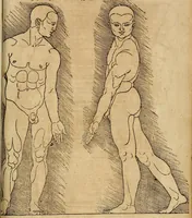 An illustration from Hierinn sind begriffen vier Bucher von menschlicher Proportion durch Albrechten Durer von Nurerberg [sic.] erfunden und beschuben zu nutz allen denen so zu diser kunst lieb tragen (1528)