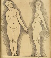 An illustration from Hierinn sind begriffen vier Bucher von menschlicher Proportion durch Albrechten Durer von Nurerberg [sic.] erfunden und beschuben zu nutz allen denen so zu diser kunst lieb tragen (1528)
