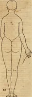 An illustration from Hierinn sind begriffen vier Bucher von menschlicher Proportion durch Albrechten Durer von Nurerberg [sic.] erfunden und beschuben zu nutz allen denen so zu diser kunst lieb tragen (1528)