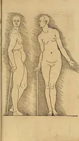Picture 178 of 197 from Hierinn sind begriffen vier Bucher von menschlicher Proportion durch Albrechten Durer von Nurerberg [sic.] erfunden und beschuben zu nutz allen denen so zu diser kunst lieb tragen (1528), leaf 222