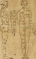 An illustration from Hierinn sind begriffen vier Bucher von menschlicher Proportion durch Albrechten Durer von Nurerberg [sic.] erfunden und beschuben zu nutz allen denen so zu diser kunst lieb tragen (1528)