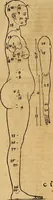 Picture 18 of 197 from Hierinn sind begriffen vier Bucher von menschlicher Proportion durch Albrechten Durer von Nurerberg [sic.] erfunden und beschuben zu nutz allen denen so zu diser kunst lieb tragen (1528), leaf 29