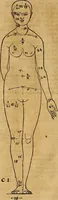 An illustration from Hierinn sind begriffen vier Bucher von menschlicher Proportion durch Albrechten Durer von Nurerberg [sic.] erfunden und beschuben zu nutz allen denen so zu diser kunst lieb tragen (1528)