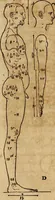 Picture 21 of 197 from Hierinn sind begriffen vier Bucher von menschlicher Proportion durch Albrechten Durer von Nurerberg [sic.] erfunden und beschuben zu nutz allen denen so zu diser kunst lieb tragen (1528), leaf 33