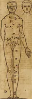 Picture 22 of 197 from Hierinn sind begriffen vier Bucher von menschlicher Proportion durch Albrechten Durer von Nurerberg [sic.] erfunden und beschuben zu nutz allen denen so zu diser kunst lieb tragen (1528), leaf 33