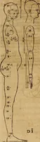 An illustration from Hierinn sind begriffen vier Bucher von menschlicher Proportion durch Albrechten Durer von Nurerberg [sic.] erfunden und beschuben zu nutz allen denen so zu diser kunst lieb tragen (1528)