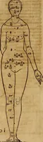 Picture 25 of 197 from Hierinn sind begriffen vier Bucher von menschlicher Proportion durch Albrechten Durer von Nurerberg [sic.] erfunden und beschuben zu nutz allen denen so zu diser kunst lieb tragen (1528), leaf 37