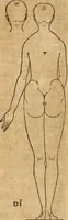 An illustration from Hierinn sind begriffen vier Bucher von menschlicher Proportion durch Albrechten Durer von Nurerberg [sic.] erfunden und beschuben zu nutz allen denen so zu diser kunst lieb tragen (1528)