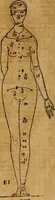 An illustration from Hierinn sind begriffen vier Bucher von menschlicher Proportion durch Albrechten Durer von Nurerberg [sic.] erfunden und beschuben zu nutz allen denen so zu diser kunst lieb tragen (1528)