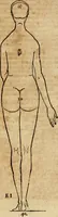 An illustration from Hierinn sind begriffen vier Bucher von menschlicher Proportion durch Albrechten Durer von Nurerberg [sic.] erfunden und beschuben zu nutz allen denen so zu diser kunst lieb tragen (1528)