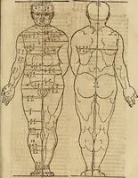 Picture 40 of 197 from Hierinn sind begriffen vier Bucher von menschlicher Proportion durch Albrechten Durer von Nurerberg [sic.] erfunden und beschuben zu nutz allen denen so zu diser kunst lieb tragen (1528), leaf 68