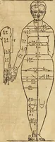 Picture 42 of 197 from Hierinn sind begriffen vier Bucher von menschlicher Proportion durch Albrechten Durer von Nurerberg [sic.] erfunden und beschuben zu nutz allen denen so zu diser kunst lieb tragen (1528), leaf 72
