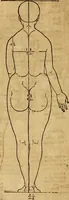 An illustration from Hierinn sind begriffen vier Bucher von menschlicher Proportion durch Albrechten Durer von Nurerberg [sic.] erfunden und beschuben zu nutz allen denen so zu diser kunst lieb tragen (1528)