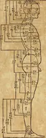 Picture 45 of 197 from Hierinn sind begriffen vier Bucher von menschlicher Proportion durch Albrechten Durer von Nurerberg [sic.] erfunden und beschuben zu nutz allen denen so zu diser kunst lieb tragen (1528), leaf 77