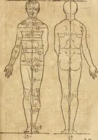 An illustration from Hierinn sind begriffen vier Bucher von menschlicher Proportion durch Albrechten Durer von Nurerberg [sic.] erfunden und beschuben zu nutz allen denen so zu diser kunst lieb tragen (1528)