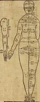 Picture 48 of 197 from Hierinn sind begriffen vier Bucher von menschlicher Proportion durch Albrechten Durer von Nurerberg [sic.] erfunden und beschuben zu nutz allen denen so zu diser kunst lieb tragen (1528), leaf 81