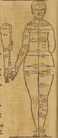 Picture 51 of 197 from Hierinn sind begriffen vier Bucher von menschlicher Proportion durch Albrechten Durer von Nurerberg [sic.] erfunden und beschuben zu nutz allen denen so zu diser kunst lieb tragen (1528), leaf 85