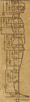Picture 53 of 197 from Hierinn sind begriffen vier Bucher von menschlicher Proportion durch Albrechten Durer von Nurerberg [sic.] erfunden und beschuben zu nutz allen denen so zu diser kunst lieb tragen (1528), leaf 89