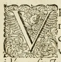 An illustration from Hieroglyphica Horapollinis (1595)