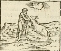 Picture 58 of 273 from Hieroglyphica, seu De sacris Aegyptiorum aliarumque gentium literis commentarii (1594), leaf 106