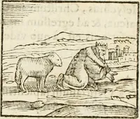 Picture 60 of 273 from Hieroglyphica, seu De sacris Aegyptiorum aliarumque gentium literis commentarii (1594), leaf 110