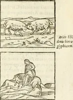 An illustration from Hieroglyphica, seu De sacris Aegyptiorum aliarumque gentium literis commentarii (1594)
