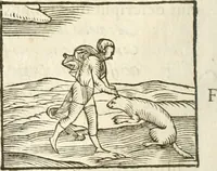 An illustration from Hieroglyphica, seu De sacris Aegyptiorum aliarumque gentium literis commentarii (1594)