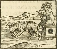 Picture 71 of 273 from Hieroglyphica, seu De sacris Aegyptiorum aliarumque gentium literis commentarii (1594), leaf 123