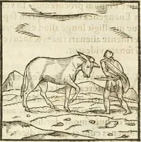 Picture 75 of 273 from Hieroglyphica, seu De sacris Aegyptiorum aliarumque gentium literis commentarii (1594), leaf 128