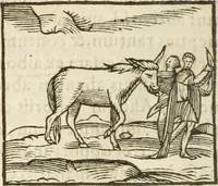 Picture 76 of 273 from Hieroglyphica, seu De sacris Aegyptiorum aliarumque gentium literis commentarii (1594), leaf 129