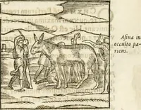Picture 77 of 273 from Hieroglyphica, seu De sacris Aegyptiorum aliarumque gentium literis commentarii (1594), leaf 130