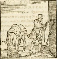 Picture 78 of 273 from Hieroglyphica, seu De sacris Aegyptiorum aliarumque gentium literis commentarii (1594), leaf 130