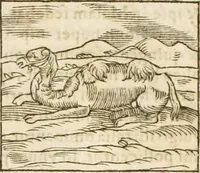 Picture 79 of 273 from Hieroglyphica, seu De sacris Aegyptiorum aliarumque gentium literis commentarii (1594), leaf 135