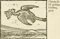 Picture 90 of 273 from Hieroglyphica, seu De sacris Aegyptiorum aliarumque gentium literis commentarii (1594), leaf 178