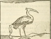 Picture 95 of 273 from Hieroglyphica, seu De sacris Aegyptiorum aliarumque gentium literis commentarii (1594), leaf 181