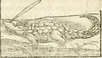 Picture 96 of 273 from Hieroglyphica, seu De sacris Aegyptiorum aliarumque gentium literis commentarii (1594), leaf 181