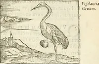 Picture 97 of 273 from Hieroglyphica, seu De sacris Aegyptiorum aliarumque gentium literis commentarii (1594), leaf 182