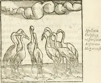 Picture 98 of 273 from Hieroglyphica, seu De sacris Aegyptiorum aliarumque gentium literis commentarii (1594), leaf 182