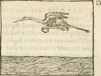 Picture 99 of 273 from Hieroglyphica, seu De sacris Aegyptiorum aliarumque gentium literis commentarii (1594), leaf 183