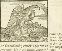 Picture 102 of 273 from Hieroglyphica, seu De sacris Aegyptiorum aliarumque gentium literis commentarii (1594), leaf 188