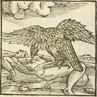 Picture 103 of 273 from Hieroglyphica, seu De sacris Aegyptiorum aliarumque gentium literis commentarii (1594), leaf 189