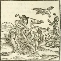 Picture 108 of 273 from Hieroglyphica, seu De sacris Aegyptiorum aliarumque gentium literis commentarii (1594), leaf 197