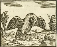 Picture 109 of 273 from Hieroglyphica, seu De sacris Aegyptiorum aliarumque gentium literis commentarii (1594), leaf 203