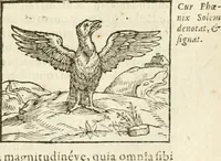 Picture 110 of 273 from Hieroglyphica, seu De sacris Aegyptiorum aliarumque gentium literis commentarii (1594), leaf 204