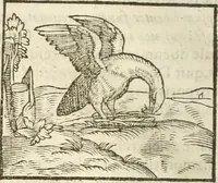 An illustration from Hieroglyphica, seu De sacris Aegyptiorum aliarumque gentium literis commentarii (1594)
