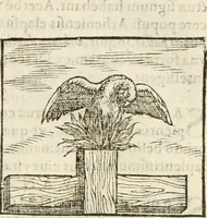An illustration from Hieroglyphica, seu De sacris Aegyptiorum aliarumque gentium literis commentarii (1594)